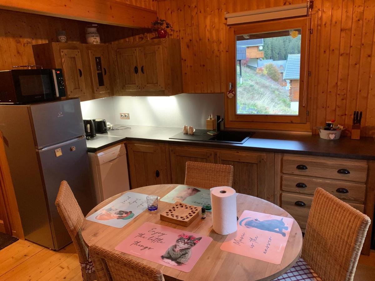 Chalet Proche Morzine Et Lac Leman Wifi Offert Le Biot エクステリア 写真